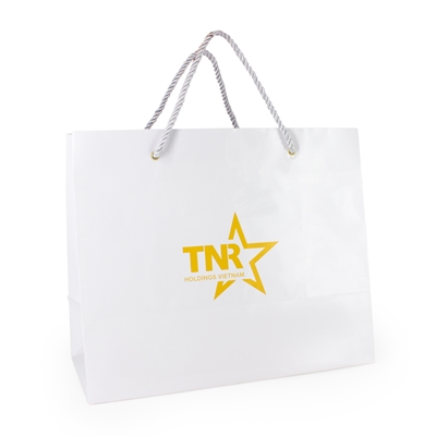 Túi giấy – khách hàng TNR Holdings