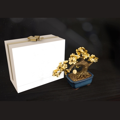 Vỏ hộp quà Tết cao cấp màu trắng ép nhũ vàng VH-QTC05