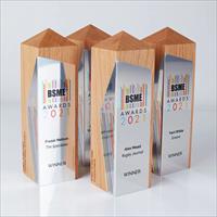Cúp Giải thưởng BSME