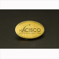 Huy hiệu cài áo Công ty Hacisco