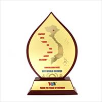 Kỷ niệm chương Đài Tiếng nói Việt Nam (VOV)
